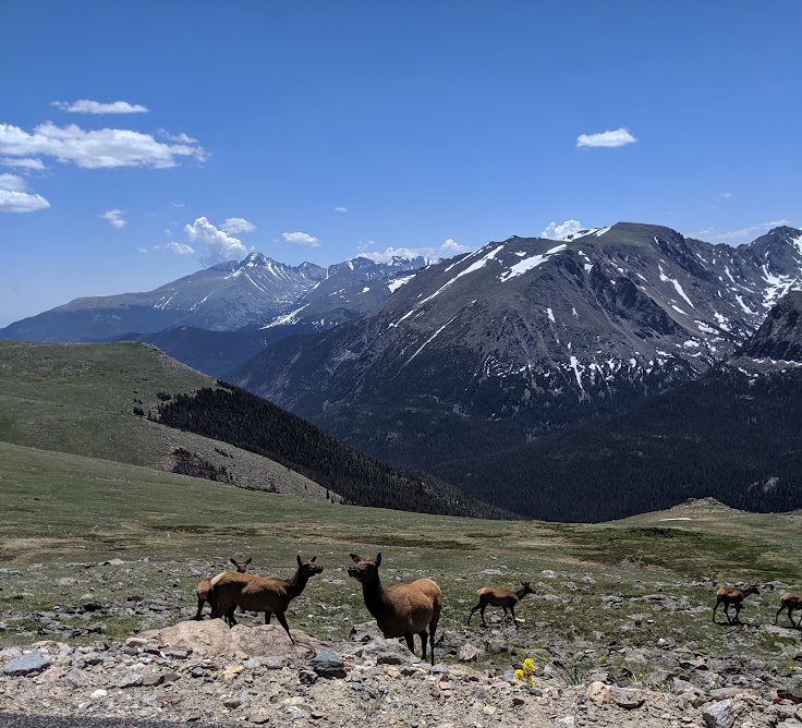 Colorado mountains